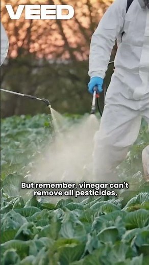 Vinegar Wash: A More Effective Way to Remove Pesticides from Fruits and Vegetables.