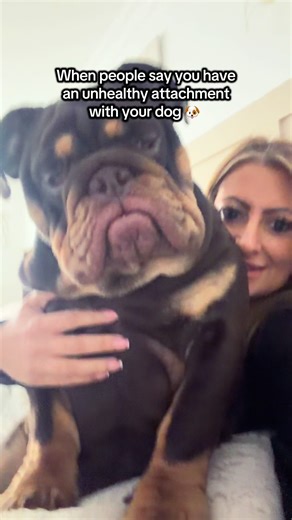 Good job we don’t care what people think 😅🤎🐶 My big baby always 🥰 #bulldog #dogtok #englishbulldog #bulldogsoftiktok #puppylove