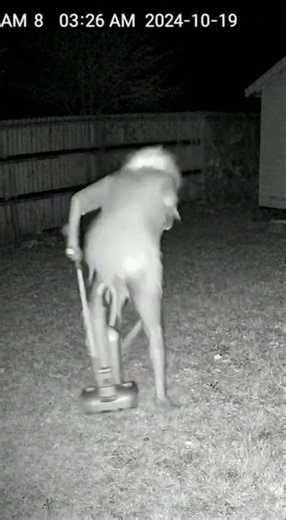 The witch tries to ride the vacuum cleaner 😅