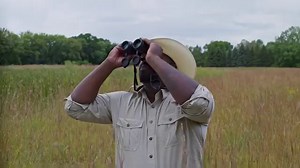 33 reactions | Now showing at the Simons Theatre: Wings Over Water!...