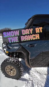Snow day at the ranch! #ranch #cows #hogwildbranson | Hog Wild Adventures | Facebook