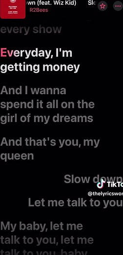 R2Bees Slow Down Lyrics Video