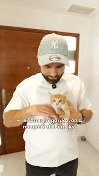 On a trouvé un chat dans un fossé et on l’a adopté !