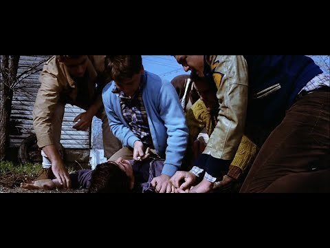 The Outsiders (1983) - The Socs Attack Ponyboy
