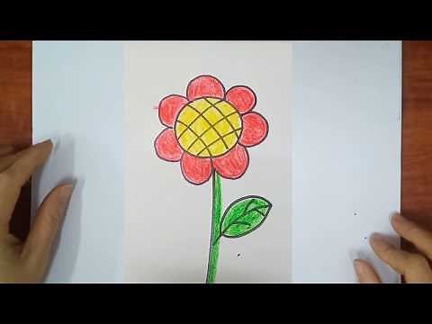 Vẽ hoa/ cách vẽ hoa/ vẽ bông hoa/ draw a flower