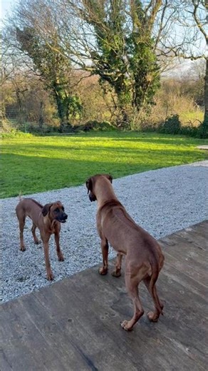 Dialog zwischen Mutter und Tochter