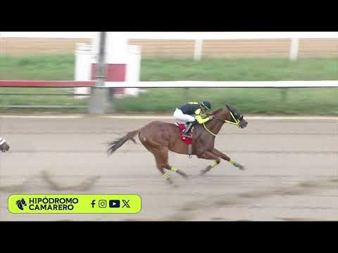 RACE 6 - 16/APRIL/2026 (JOSHY JAK)
