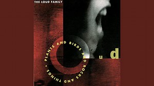 Scott Miller: What Happened?