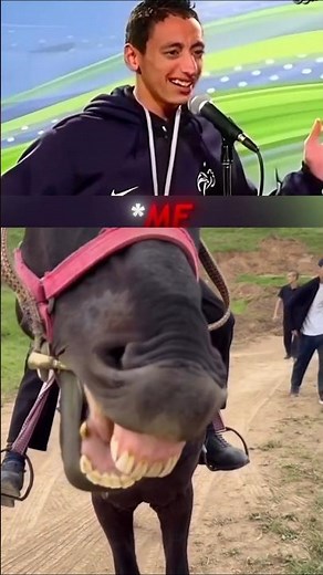 this a horse laughing