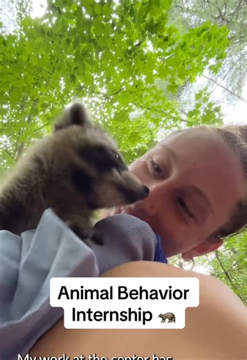 Exciting Animal Behavior Internship Experience