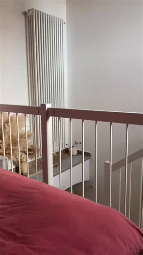 Sharel Plepi on Instagram: "#publicité Trouvez votre boutique de lingerie et de vêtements préférée 👉 Charlaine 👈 et restez à la pointe de la mode sur SHEIN ! Utilisez le code promo « [ 2Chasharelplepi631 ] » pour bénéficier d'une réduction exclusive ! ✨ Nom du magasin : Charlaine ID: 337023428 🔗 https://shein.top/vlbrska Nom du magasin : Charlaine ID: 246786972 🔗 https://shein.top/ht6gh7o Nom du magasin : Charlaine ID: 190840997 🔗 https://shein.top/nlk9dp6 Nom du magasin : Charlaine ID: 374