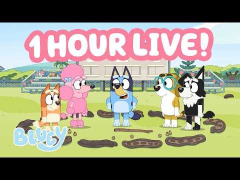 🔴LIVE: Let's Play Circus! 🎪 🍿 | Bluey Clips Livestream 💙 | Bluey