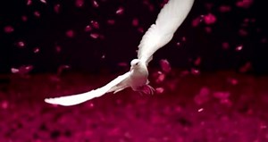 Girls' Generation - THE BOYS (Official Music Video) Kor ver.