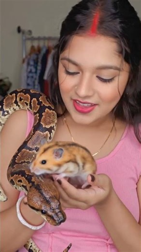 python snake 😎#ytshorts #funny #shortsfeed #foryou #trendingshorts