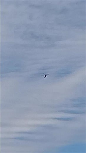 U.S. Air Force? Kampfhubschrauber? Attack helicopter? - Zwischen Bitburg und Ahrweiler - Vulkaneifel