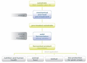 Solid state fermentation - Alchetron, the free social encyclopedia