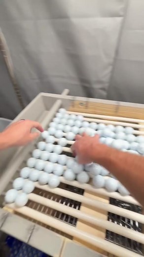 Golf Ball Pricing: Buy in Dozens for Best Deals