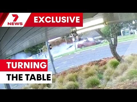 The police dog that helped stopped an accused criminal | 7NEWS