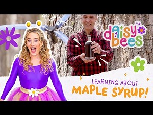 Learn Where Maple Syrup Comes From! Preschool Counting, STEM, Colors