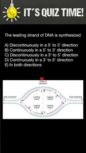 DNA replication: Leading and Lagging strands