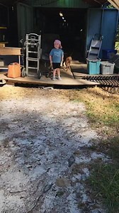 5.7K views · 29 reactions | Evie LOVES being at Grandma and Papa's house. She had been waiting ALL DAY for them to get home. Tried to tell me I could go home and she was going to stay there. 藍藍 | Papa's Wooden Toy Shop | Facebook