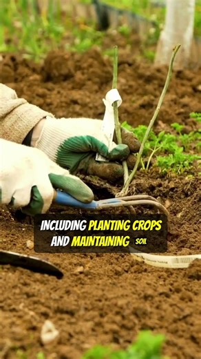 Homesteading Basics for Beginners