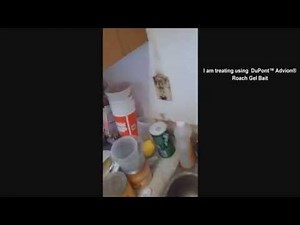 Roaches Before and After Advion Treatment