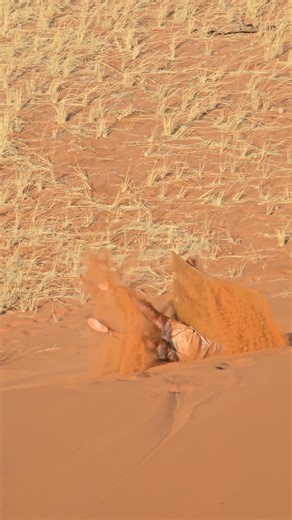 Dune boarding on our nearby dune is great fun! Either guided or unguided (4x4 required). #namibrandnaturereserve #campingnamibia #familyhideout #namibia #selfcateringnamibia #familyhideouthouse #namibrandfamilyhideout #duneboarding | NamibRand Family Hideout