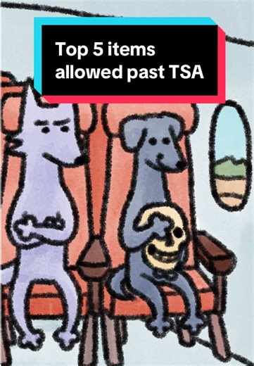 i should do a top 5 items not allowed past tsa #storyanimated #animation #funfacts #airportsecurity #animatedstories