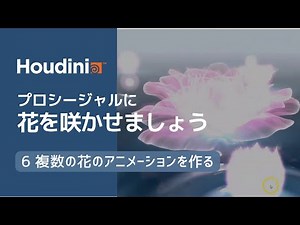 【Houdini初心者必見】（hipファイル配布） プロシージャルに花を咲かせましょう 6. 複数の花のアニメーションを作る