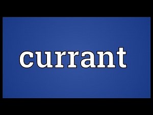 Currant Meaning