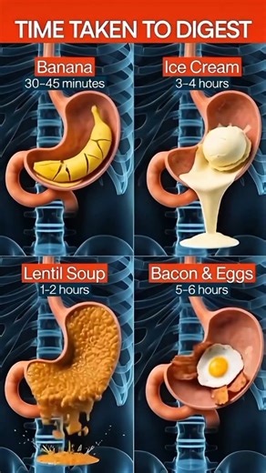 Fast vs Slow Digesting Foods (You’ll Be Surprised!)