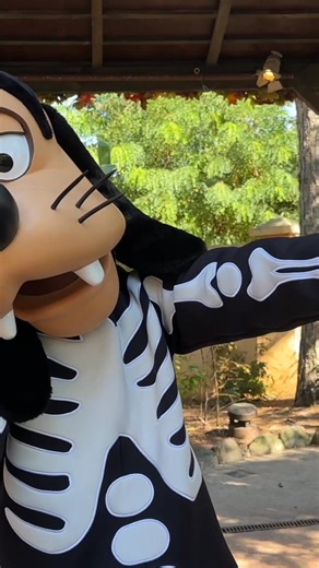 7.5K views · 152 reactions | Meet Skeleton Goofy again during this year's Halloween Festival at Disneyland Paris ! #disneylandparis #disneyhalloween | Pixie Dust DLP | Facebook