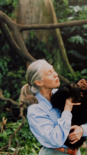 VIOLA DAVIS on Instagram: "Through your work—ironically, through non-human species—you reminded us of the importance of our humanity... a curious seeker, a channeler... You were a direct conduit from God. Your work... your presence... are immortal. Rest well, Dr. Jane M. Goodall. May flights of angels... 💚🕊🙏🏿"