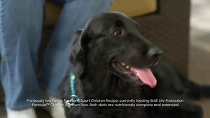 Blue Buffalo TV Spot, 'Nanci and Gemma'