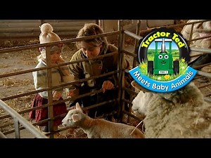 Trailer: Tractor Ted Meets Baby Animals