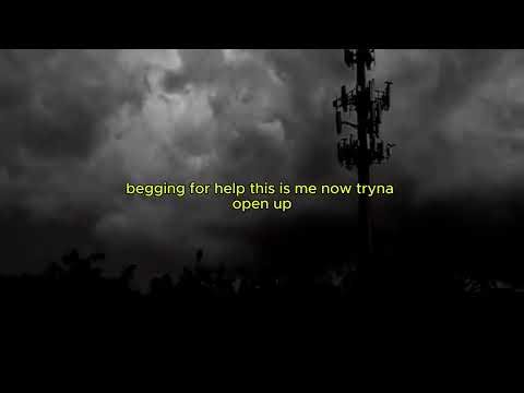 Sky Woods - Falling to pieces (Lyric Video)