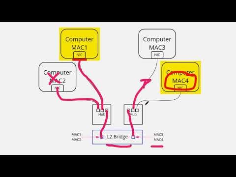 Networking Basics: Hubs, Bridges, Switches, and Collision Domains Explained