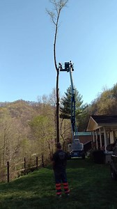 547K views · 226 shares | Treacherous tree trim  | Funny Videos | Facebook