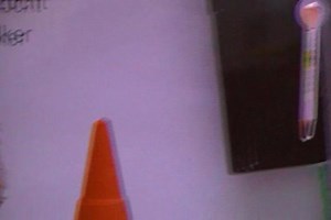 Stendker Discus Show