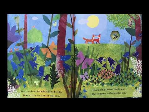 Read Aloud "Bee A Peek through Picture Book"