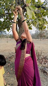 2.7K views · 69 reactions | चार का फुल / हमर डोंगरी  #forest #botany #gardening #harticulture @highlight | Vijaylaxmi Sahu | Facebook