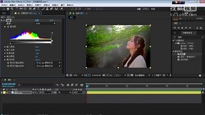 premiere教程视频基础高级教程 高清教程