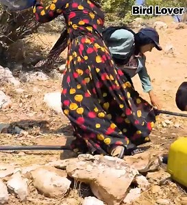 584K views · 3.9K reactions | scary games for love | Bird Lover | Facebook