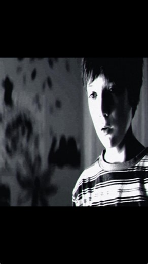 Brightburn follows a Kansas couple who discover a mysterious alien baby after a spacecraft crashes near their farm and raise him as their own, naming him Brandon. As Brandon reaches puberty, he develops superhuman powers—flight, strength, heat vision—but instead of becoming a hero, he grows cold and violent, driven by a sinister alien influence. As his powers increase, he begins attacking people in the town, including those close to him, revealing that he was never meant to protect humanity. The