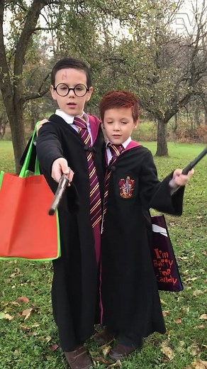 Ron and Harry Halloween Costume Ideas