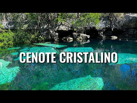 Cenote Cristalino MEXICO [4K]
