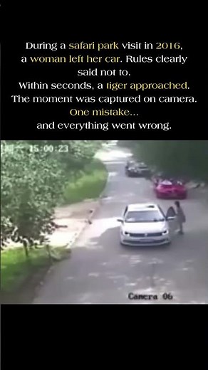 She Ignored One Rule 🐅 #viralstory #shorts