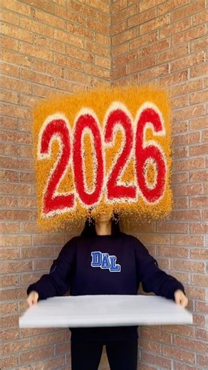 Hope everyone has a Happy New Year! Countdown to 2026!!! #happynewyear #newyear #2026 #riceart