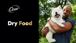 Cesar Softies Medley Trio Non Refrigerated Soft Treats for Dogs, 16 oz Pouch